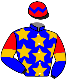 Casaque du n°11 — JOLLY COMPANION