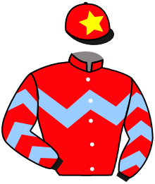 Casaque du n°2 — WINNING MONEY