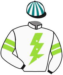 Casaque du n°8 — LUCK IS BACK
