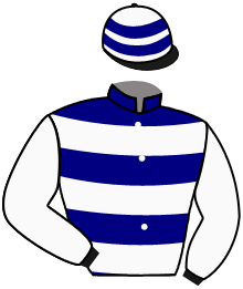 Casaque du n°1 — HARMONY GALAXY