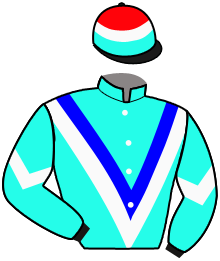 Casaque du n°10 — KYRUS TREASURE