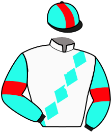 Casaque du n°3 — VOLCANIC SPARK
