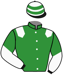 Casaque du n°10 — GAZELEY