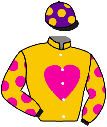 Casaque du n°11 — PRESTIGE SUPERIOR