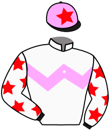 Casaque du n°9 — PRESTIGE RICKY