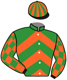 Casaque du n°1 — PEJIBAYE