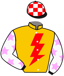 Casaque du n°10 — SMILING CHAMPION