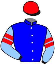 Casaque du n°12 — WINNING CHAMPION