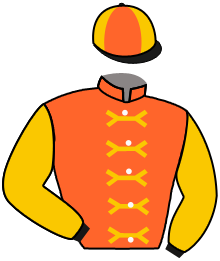Casaque du n°1 — ARMOUR WAR EAGLE