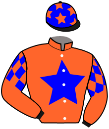 Casaque du n°9 — PERFECT TRIUMPH