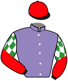 Casaque du n°1 — WINNING DRAGON