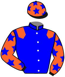 Casaque du n°12 — WINNING BUDDIES