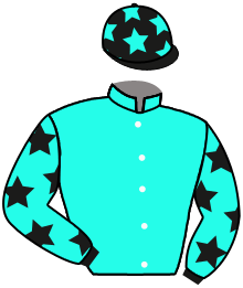 Casaque du n°11 — TURQUOISE VELOCITY
