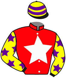 Casaque du n°3 — CRIMSON FLASH