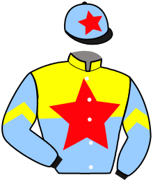 Casaque du n°5 — VICTOR THE WINNER