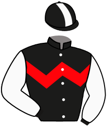 Casaque du n°2 — YOUNG EMPEROR
