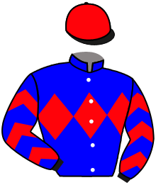 Casaque du n°7 — ENDURANCE EXPRESS