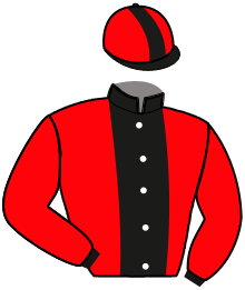 Casaque du n°1 — PICTURED DIAMOND