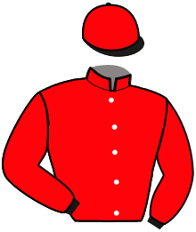 Casaque du n°9 — MAKALO