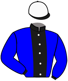 Casaque du n°7 — NORDLY LOKE