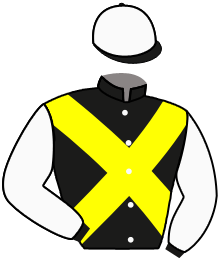 Casaque du n°2 — OLIVA