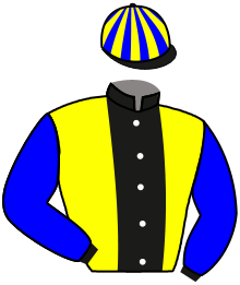Casaque du n°7 — MADIGAN