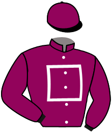 Casaque du n°1 — PLUTARQUE