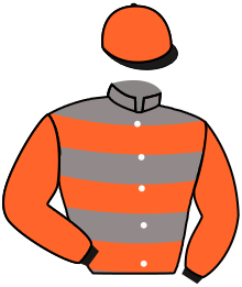 Casaque du n°2 — SAINT ARNOULT
