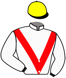 Casaque du n°4 — FARFLIES