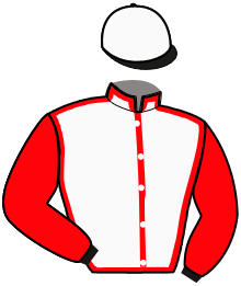 Casaque du n°1 — NIDILLERO