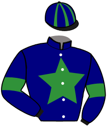 Casaque du n°11 — NEMROD DE L'AUMOY
