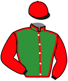 Casaque du n°15 — MEDOC PIERJI