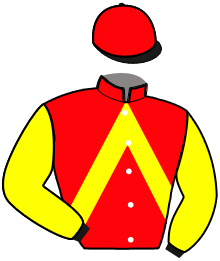 Casaque du n°7 — MONSEIGNEUR MADRIK