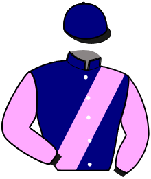 Casaque du n°11 — KOQUIN DU PERCHE