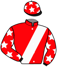 Casaque du n°15 — CHARLES OP