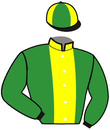 Casaque du n°6 — KENTUCKY DANICA
