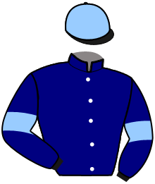 Casaque du n°3 — JACKSON TOUCH
