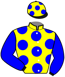 Casaque du n°10 — JAVA DE LANGERON