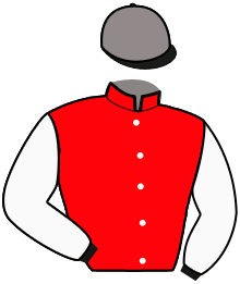 Casaque du n°11 — JINKGO VEETA