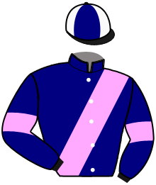 Casaque du n°13 — KOPAZE DE HOUELLE