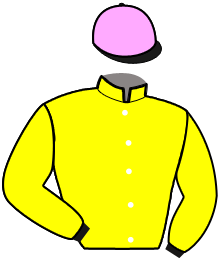 Casaque du n°8 — KRAC BRENUS