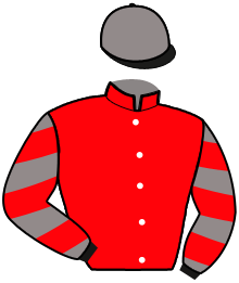Casaque du n°15 — LARGO D'AVIGNERE