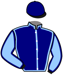 Casaque du n°7 — LORD DU BUHOT