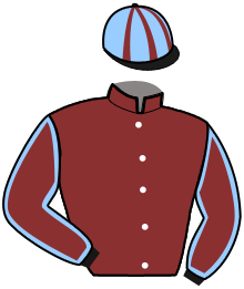 Casaque du n°6 — MAGIC DE VAUVILLE