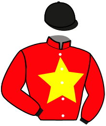 Casaque du n°7 — MAEVA DE CRESCY