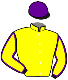 Casaque du n°7 — MUSTANG DE PEBRISY