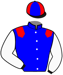 Casaque du n°14 — NEVEE