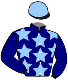 Casaque du n°2 — MEDIA HAUFOR