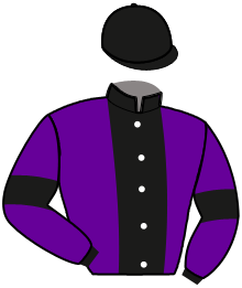 Casaque du n°3 — MAVERICK DOLUCIO