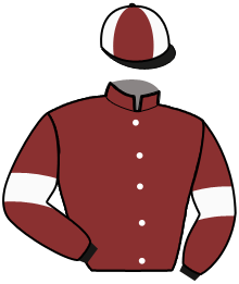 Casaque du n°6 — MOUSKO GES